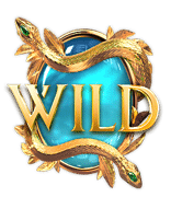 - รูปสัญลักษณ์ WILD ของเกม Medusa