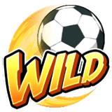 - รูปสัญลักษณ์ WILD เกม Shaolin Soccer