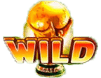 - สัญลักษณ์ WILD เกม Qatar 2022