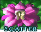 - สัญลักษณ์ SCATTER ของเกม Thai Paradise