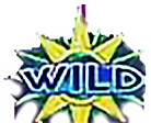 - สัญลักษณ์ WILD ของเกม Super Stars