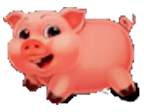 - สัญลักษณ์ หมูสีธรรมดา ของเกม Fortune Pig