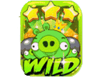 - รูปสัญลักษณ์ WILD เกม Angry Win