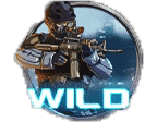 - รูปสัญลักษณ์ WILD เกม Ace Round