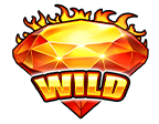 สัญลักษณ์ WILD สล็อต Shining Hot 100