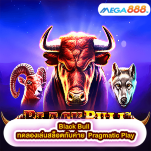 Black Bull ทดลองเล่นสล็อตกับค่าย Pragmatic Play