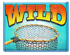 สัญลักษณ์ WILD