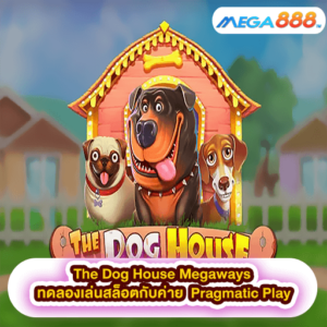 The Dog House Megaways ทดลองเล่นสล็อตกับค่าย Pragmatic Play