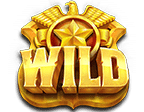 สัญลักษณ์ WILD