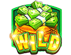 สัญลักษณ์ WILD