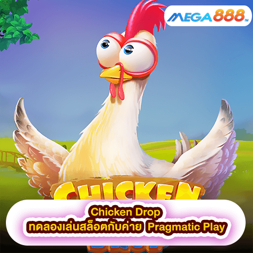 Chicken Drop ทดลองเล่นสล็อตกับค่าย Pragmatic Play