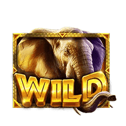 สัญลักษณ์ WILD สล็อต African Elephant