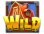 สัญลักษณ์ WILD