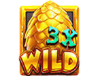 สัญลักษณ์ WILD